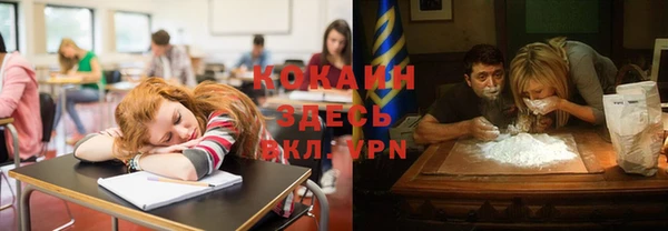 сатива Слюдянка