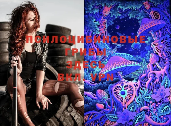 альфа пвп Снежногорск