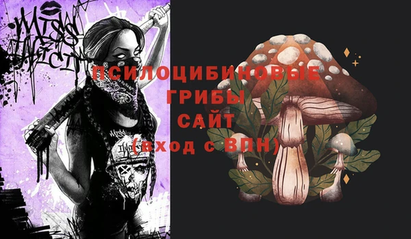 сатива Слюдянка